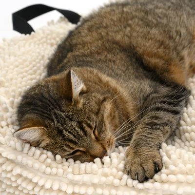 Cojín Para Mascotas Color Crema - Imagen 8