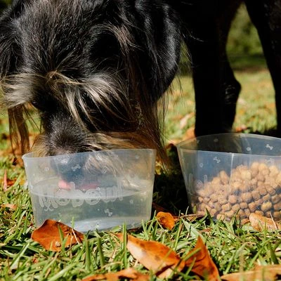 Comedero Plegable Mobowl - Imagen 3