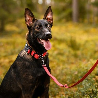 Rukka® Cube Soft Collar, Rojo / Negro - Imagen 6