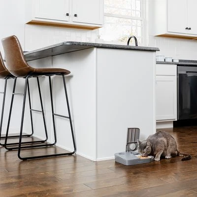 Comedero Automático Doble PetSafe® Para Mascotas - Imagen 9