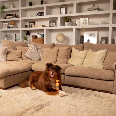 Pet Head Ditch The Dirt Champú Para Perros - Imagen 4