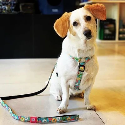 Arnés Max & Molly Donuts Para Perros - Imagen 2