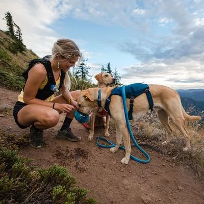 Arnés Ruffwear Switchbank Azul Para Perros - Imagen 4