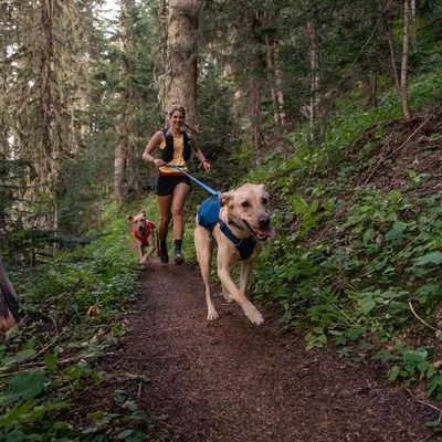 Arnés Ruffwear Switchbank Azul Para Perros - Imagen 9