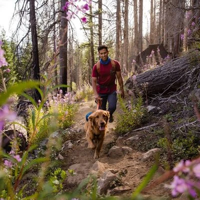 Arnés Ruffwear Switchbank Azul Para Perros - Imagen 11