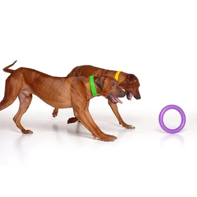 Ferplast Puller Juguete Para Perros - Imagen 7