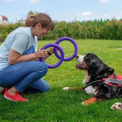 Ferplast Puller Juguete Para Perros - Imagen 8