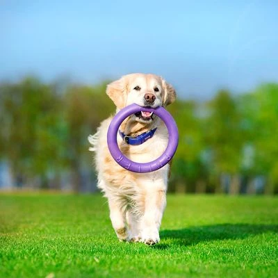 Ferplast Puller Juguete Para Perros - Imagen 11