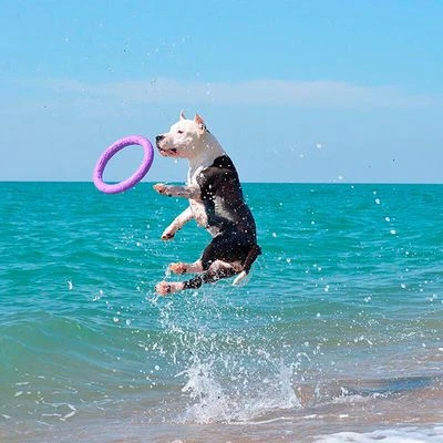 Ferplast Puller Juguete Para Perros - Imagen 14