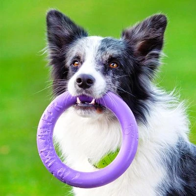 Ferplast Puller Juguete Para Perros - Imagen 15