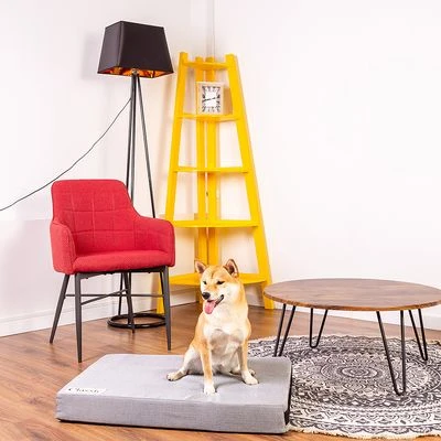 Colch贸n Classic Para Perros - Imagen 8