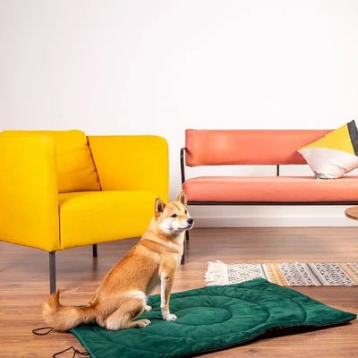 Esterilla De Viaje Brújula Para Perros - Imagen 11