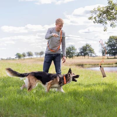 Trixie Caña Estimulante Juguete De Adiestramiento Para Perros - Imagen 2