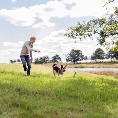 Trixie Caña Estimulante Juguete De Adiestramiento Para Perros - Imagen 5
