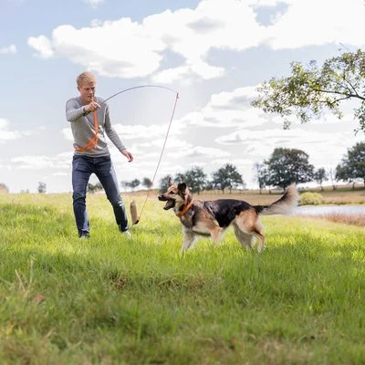 Trixie Caña Estimulante Juguete De Adiestramiento Para Perros - Imagen 6