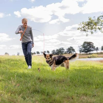 Trixie Caña Estimulante Juguete De Adiestramiento Para Perros - Imagen 7
