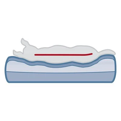 Cama Ortopédica Trixie Vital Sofa Bendson Para Perros - Imagen 12