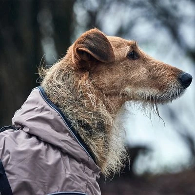 Abrigo HUNTER Uppsala Para Perros - Imagen 13