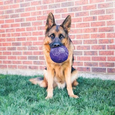 KONG Flexball Pelota Para Perros - Imagen 2