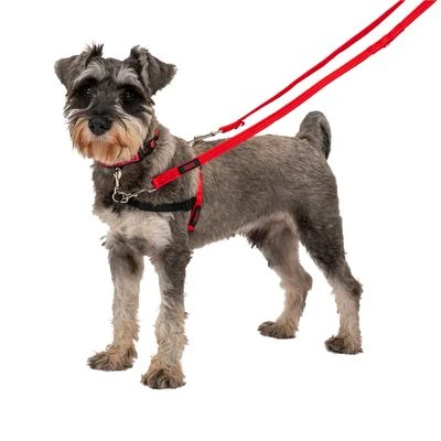 Correa Halti Para El Adiestramiento De Perros - Imagen 6