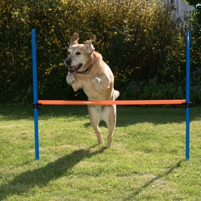 Aro Agility Fun & Sport - Imagen 13