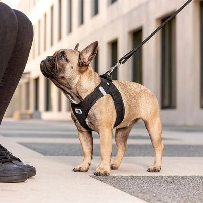 Arnés Curli Vest Clasp Air-Mesh Negro Para Perros - Imagen 3