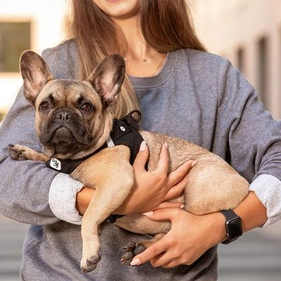 Arnés Curli Vest Clasp Air-Mesh Negro Para Perros - Imagen 6