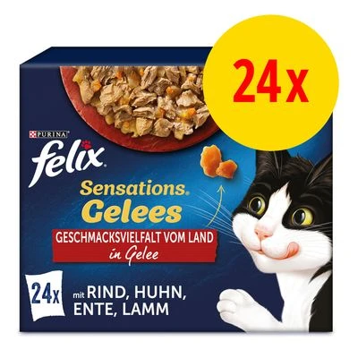 Felix Sensations 24 X 85 G
