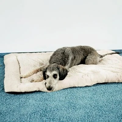 Self Heating Bed Cojín Para Perros - Imagen 3