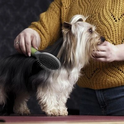 Cepillo De Doble Cara Moser Para Mascotas - Imagen 3