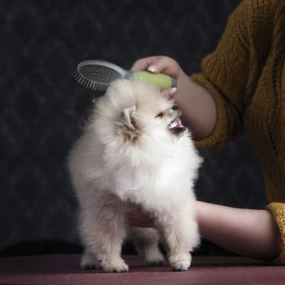 Cepillo De Doble Cara Moser Para Mascotas - Imagen 2