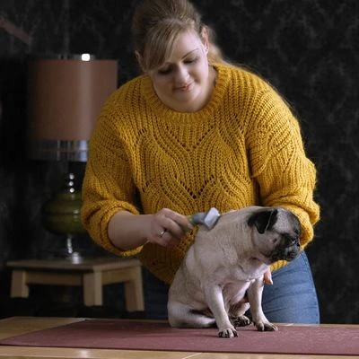 Peine Moser Para El Subpelo De Las Mascotas - Imagen 3