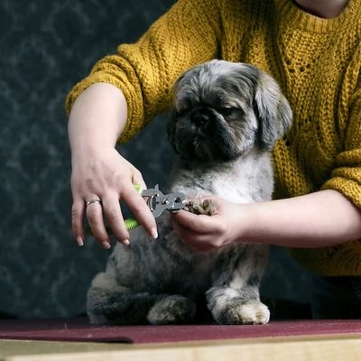 Cortaúñas Moser Para Mascotas - Imagen 2