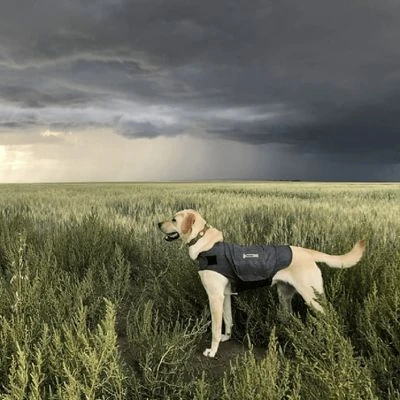 Chaleco Tranquilizante ThunderShirt® Gris Para Perros - Imagen 9