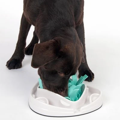 TIAKI Grass Slow Feeder Juguete De Inteligencia Para Perros - Imagen 9