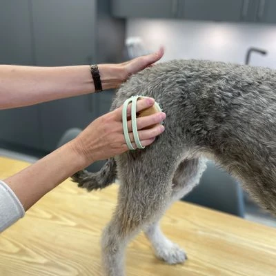 Kooa Cepillo Masajeador Para Gatos - Imagen 11