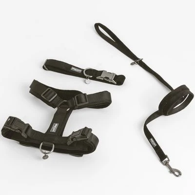 Arnés Nomad Tales Blush ébano Para Perros - Imagen 14