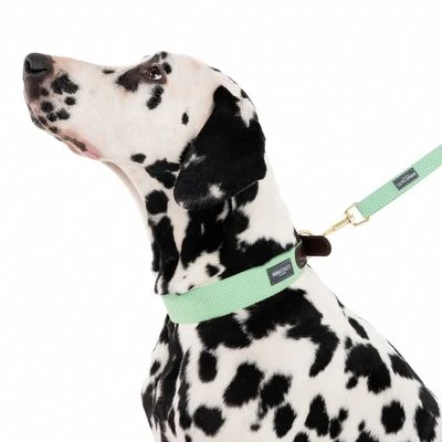 Correa Nomad Tales Bloom Menta Para Perros - Imagen 10