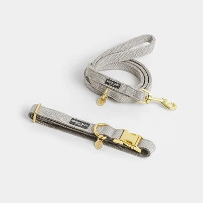 Correa Nomad Tales Calma Piedra Para Perros - Imagen 12