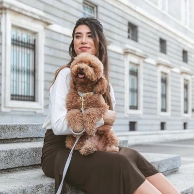 Correa Nomad Tales Calma Piedra Para Perros - Imagen 5