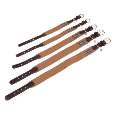 Collar Nomad Tales Bloom Caramelo Para Perros - Imagen 13