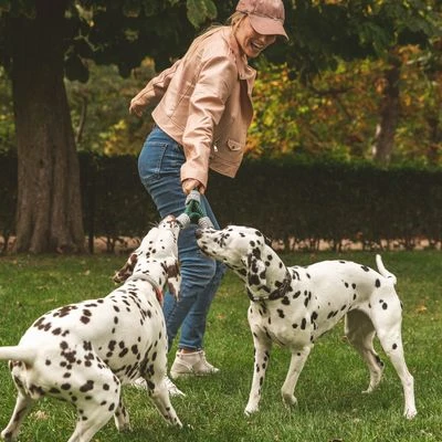 Cuerda Trébol Nomad Tales Spirit Juguete Para Perros - Imagen 4