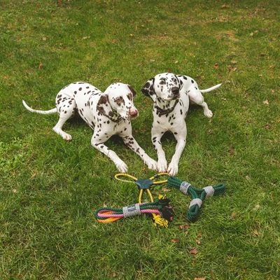 Cuerda Trébol Nomad Tales Spirit Juguete Para Perros - Imagen 12