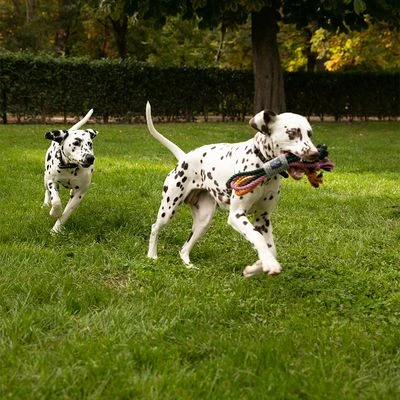 Cuerdas Varias Nomad Tales Spirit Multirope Juguete Para Perros - Imagen 13