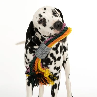 Cuerdas Varias Nomad Tales Spirit Multirope Juguete Para Perros - Imagen 8