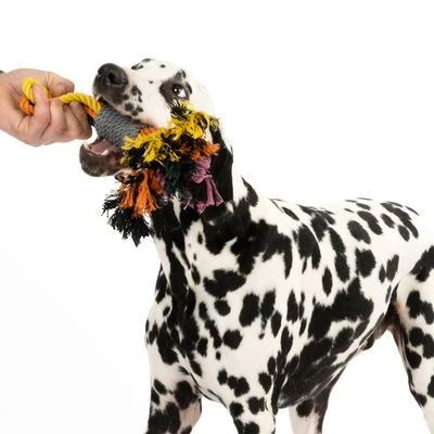 Cuerdas Varias Nomad Tales Spirit Multirope Juguete Para Perros - Imagen 4