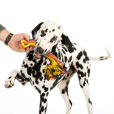 Cuerdas Varias Nomad Tales Spirit Multirope Juguete Para Perros - Imagen 12