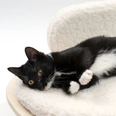 Sofá Osaka Modern Living Para Mascotas - Imagen 5