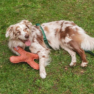 Blush Flying X Nomad Tales Juguete Para Perros - Imagen 3