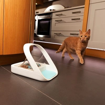 Comedero Automático SureFeed Microchip - Imagen 3